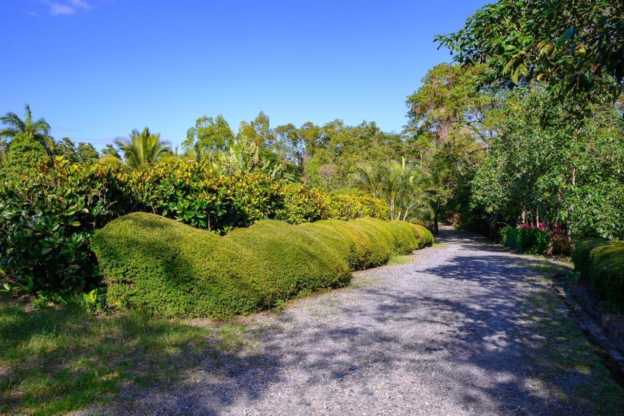 Hacienda La Huerta Puerto Plata, 1 Bdr Villa ภายนอก รูปภาพ