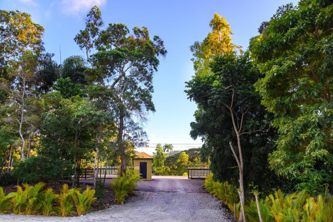 Hacienda La Huerta Puerto Plata, 1 Bdr Villa ภายนอก รูปภาพ