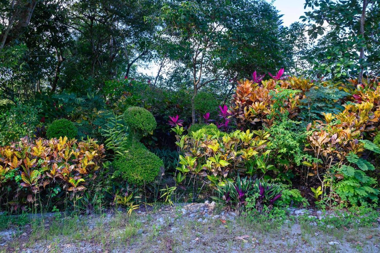 Hacienda La Huerta Puerto Plata, 1 Bdr Villa ภายนอก รูปภาพ